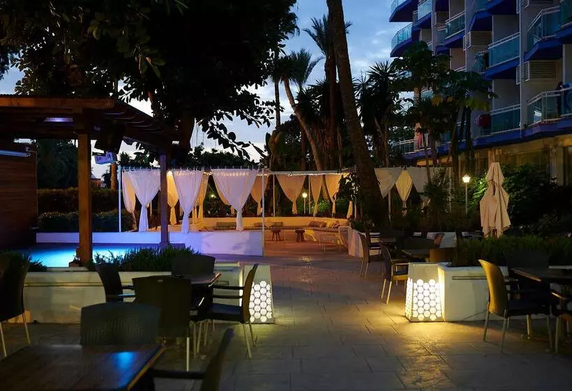 Fotos del hotel Palmasol:  7