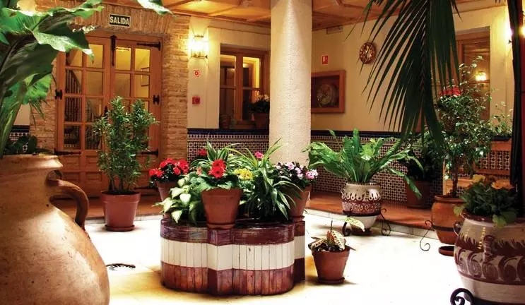 Fotos del hotel Sercotel Pintor El Greco:  12