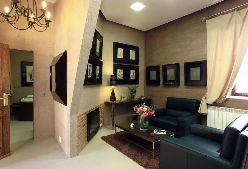 Fotos del hotel Boutique Palacio De La Serna:  24