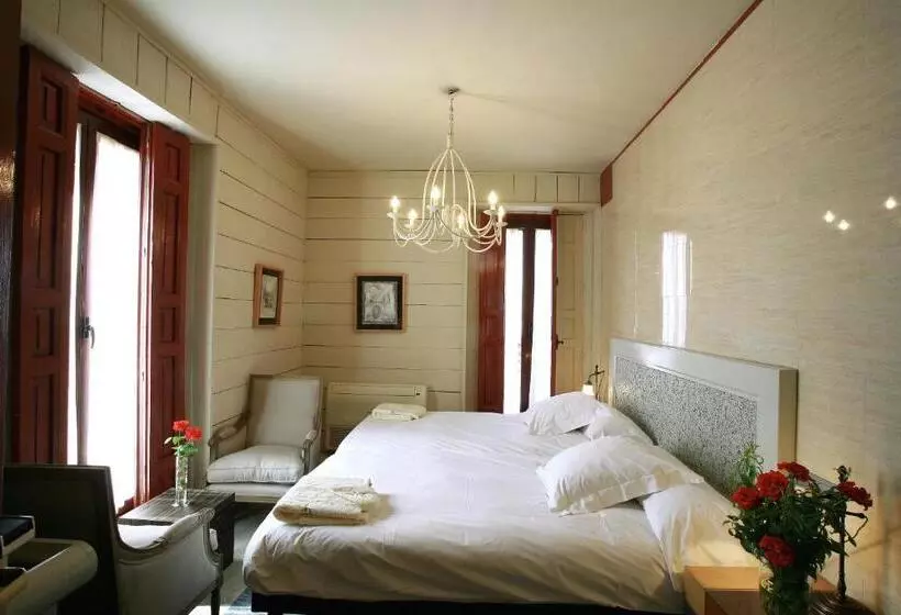 Fotos del hotel Boutique Palacio De La Serna:  19