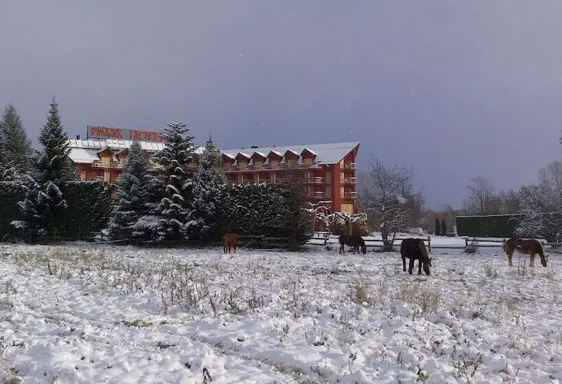 Fotos del hotel Puigcerda Park:  15