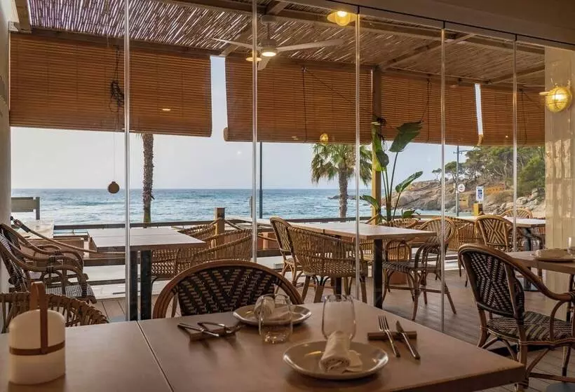 Fotos del hotel Reimar:  10