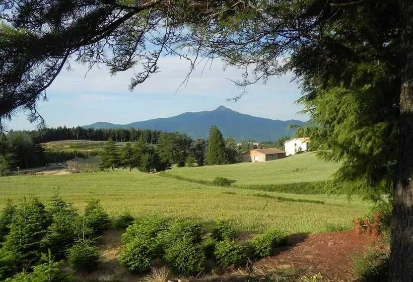 Fotos del hotel Ripoll:  6