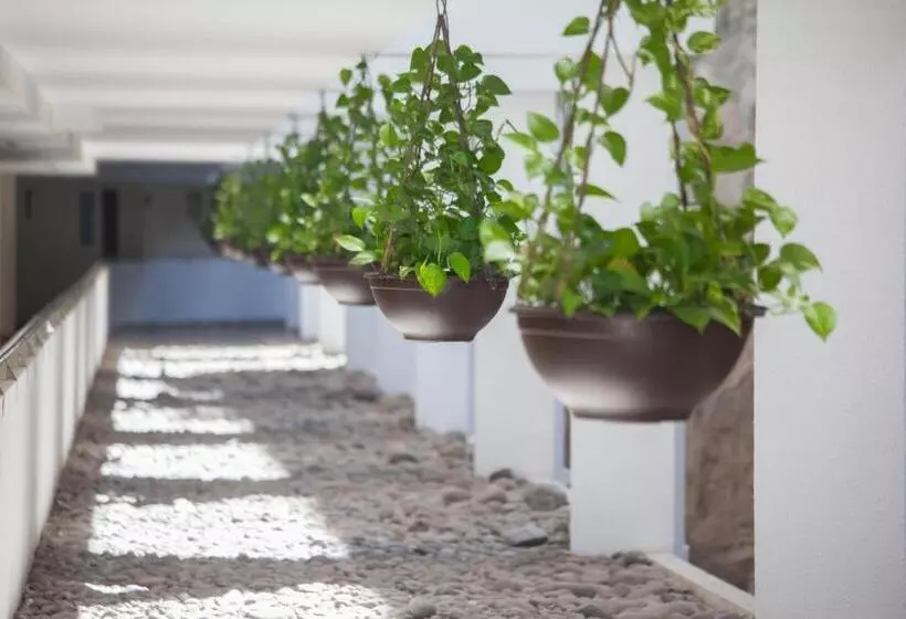 Fotos del hotel Revoli:  19