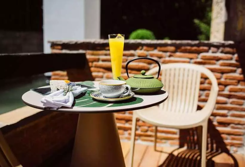 Fotos del hotel Cuevas - Adults Only:  5