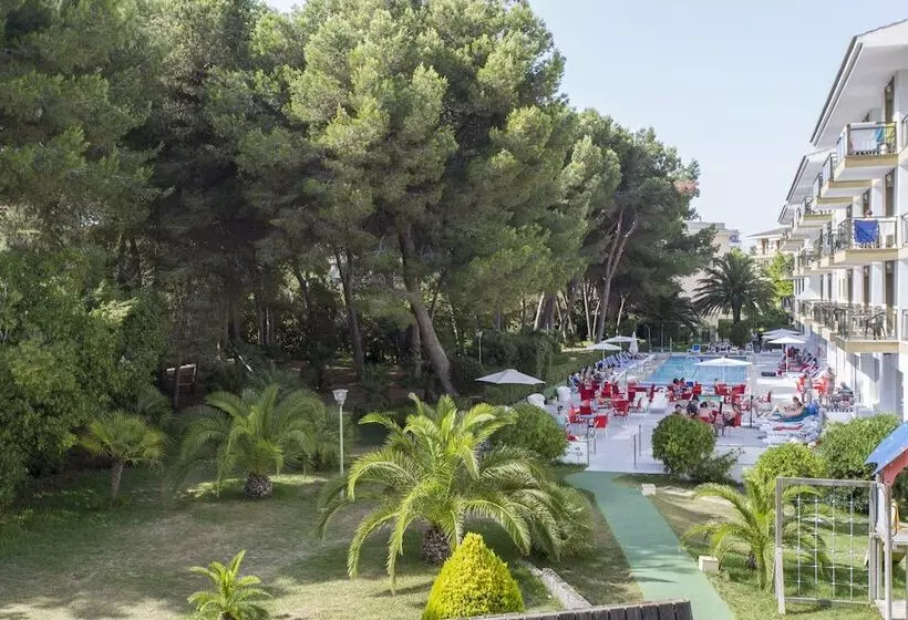 Fotos del hotel Guya Wave:  25