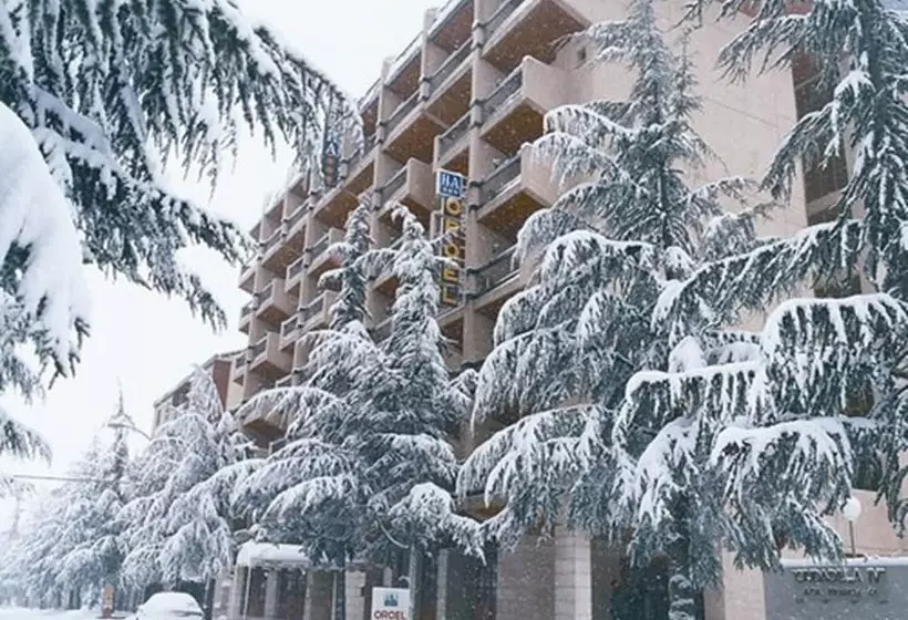 Fotos del hotel Oroel:  8