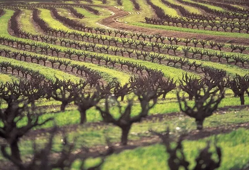 Fotos del hotel Intercontinental Adelaide, An Ihg:  7