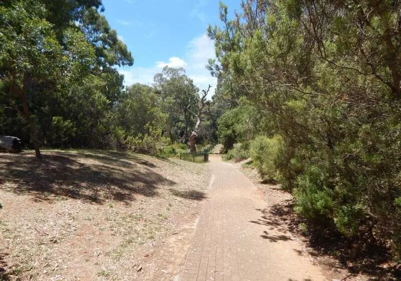 Fotos del hotel Jacksons Motor Inn:  16