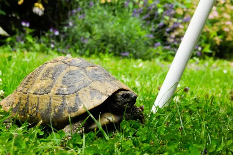 Fotos del hotel Markus Sittikus:  7