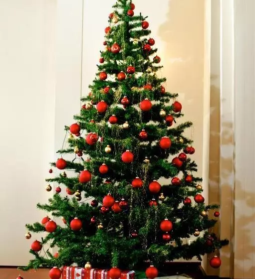 Fotos del hotel Regina:  7