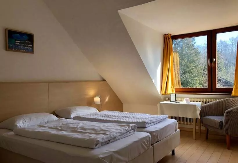 Fotos del hotel Schöne Aussicht:  2