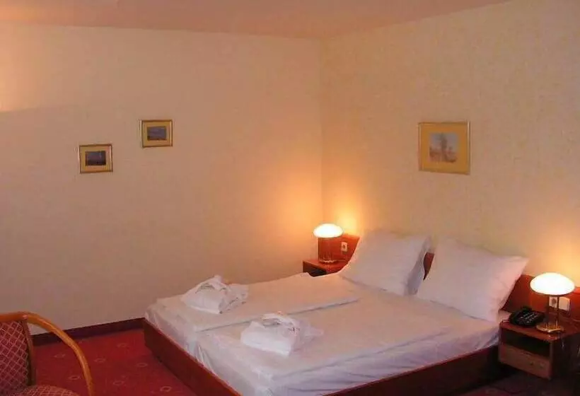 Fotos del hotel Sanotel Bad Gastein:  16