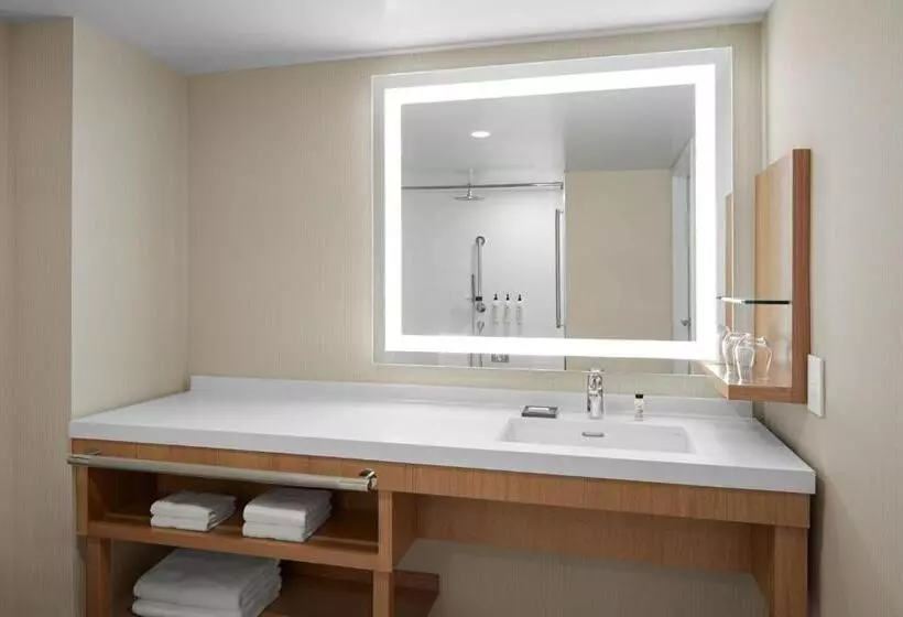 Fotos del hotel Delta Hotels By Marriott Calgary Airport Interminal:  24