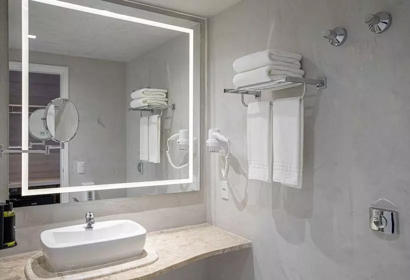 Fotos del hotel Boulevard Inn São Paulo:  15