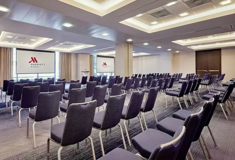 Fotos del hotel Swissotel Le Plaza Basel:  9