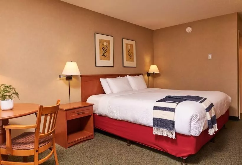 Fotos del hotel Marmot Lodge:  8