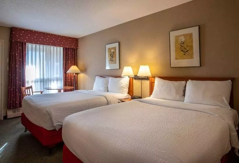 Fotos del hotel Marmot Lodge:  12