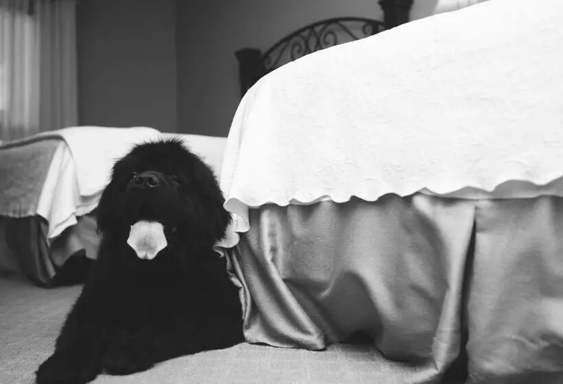 Fotos del hotel Old Stone Inn Boutique:  12