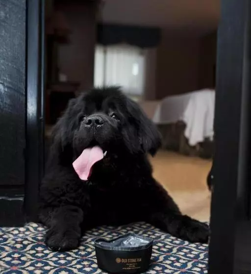 Fotos del hotel Old Stone Inn Boutique:  19