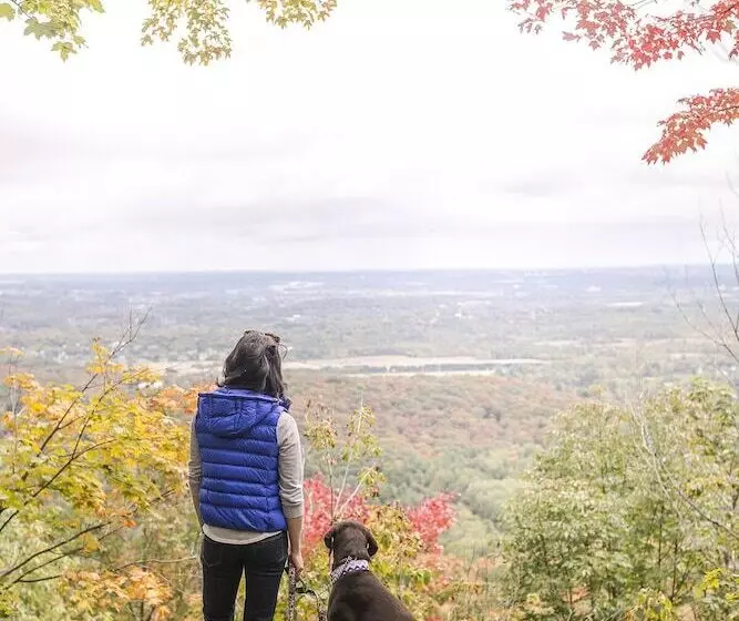 Fotos del hotel Ottawa Marriott:  6