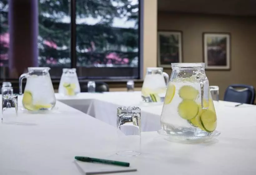 Fotos del hotel Whistler Village Inn & Suites:  11