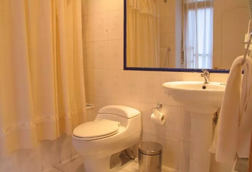 Fotos del hotel Plaza:  9