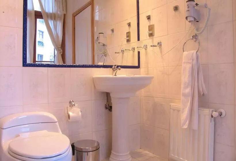 Fotos del hotel Plaza:  4