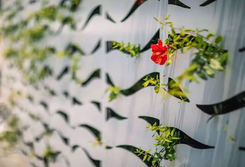 Fotos del hotel Nissi Park:  3