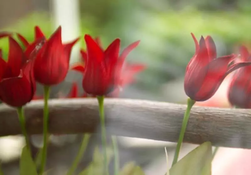 Fotos del hotel Zum Zeppelin Hamburg:  5