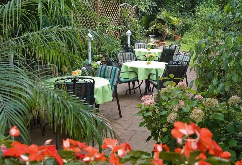 Fotos del hotel Azenberg:  22