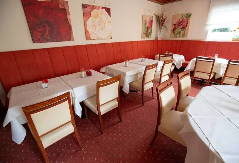 Fotos del hotel Azenberg:  9