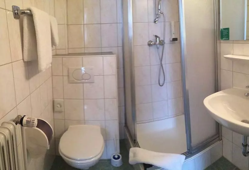 Fotos del hotel Behringers City  Nürnberg:  4