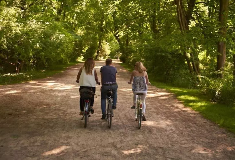 Fotos del hotel Concorde:  5