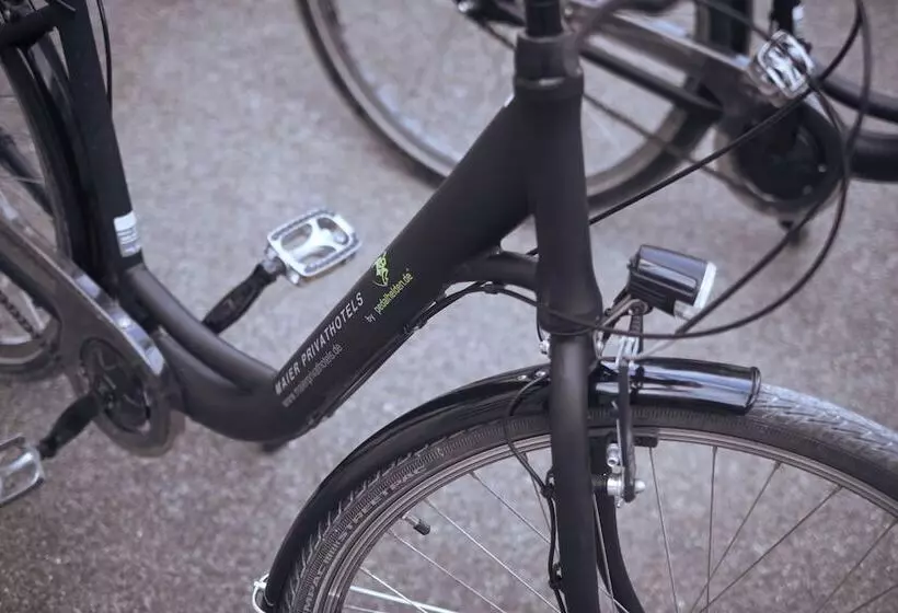 Fotos del hotel Metropol By Maier Privathotels:  14