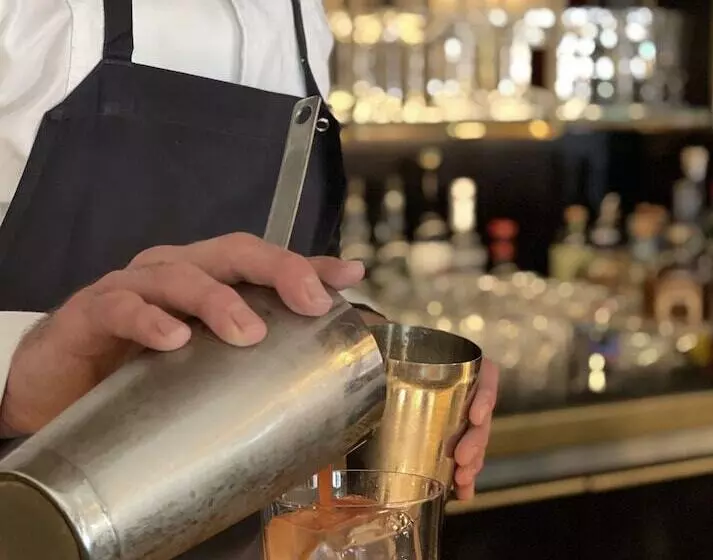 Fotos del hotel Sanders:  15