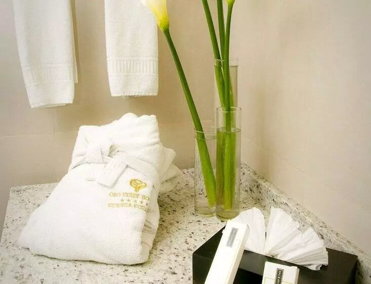 Fotos del hotel Oro Verde Cuenca:  8