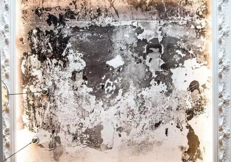 Fotos del hotel Boutique Hôtel Des Beaux Arts:  21