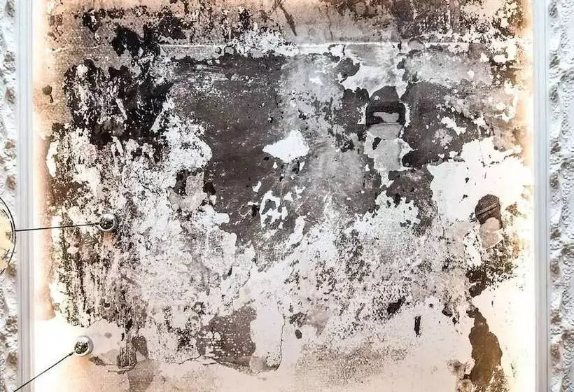 Fotos del hotel Boutique Hôtel Des Beaux Arts:  17