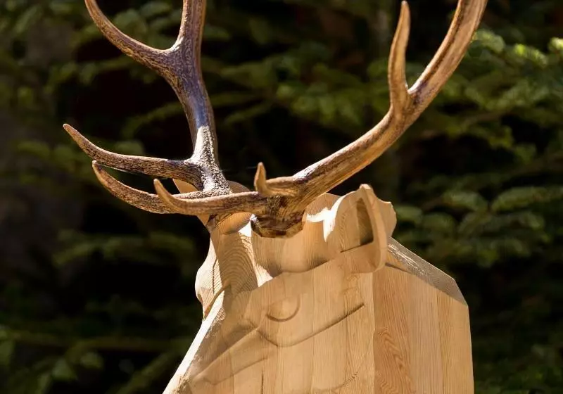 Fotos del hotel Les Chalets Du Mont D'arbois Megeve, A Four Seasons:  9