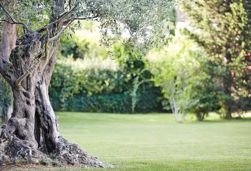 Fotos del hotel Novotel Montpellier:  7