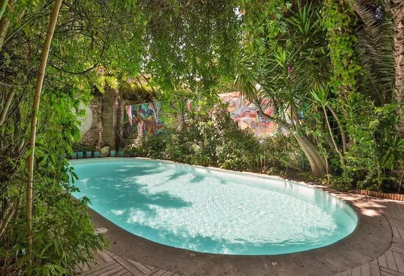 Fotos del hotel Hôtel Windsor:  5