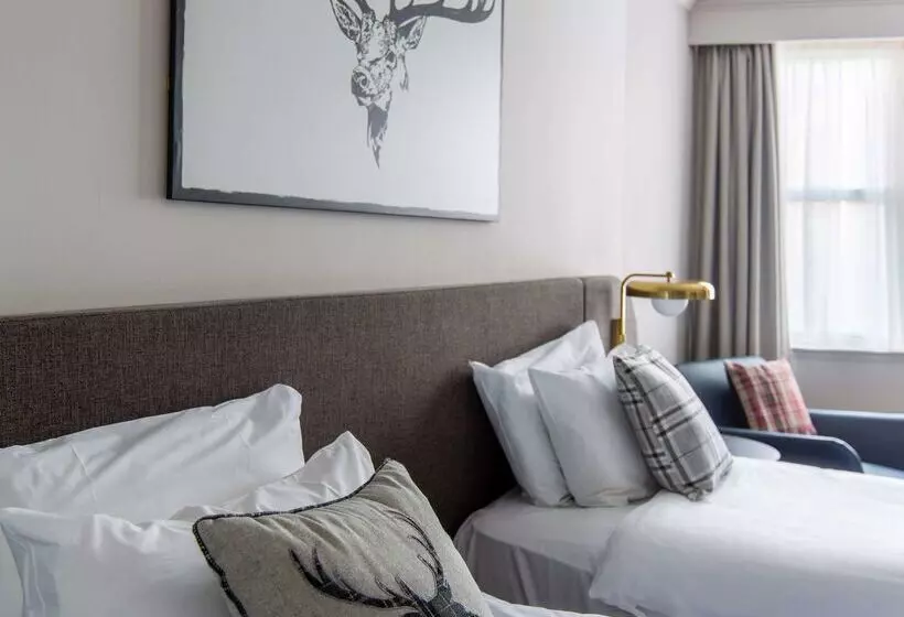 Fotos del hotel Bruntsfield:  18