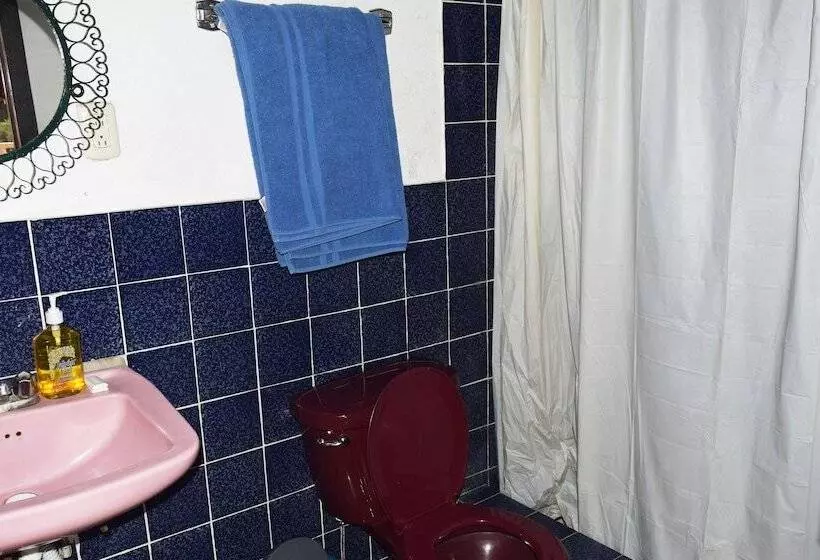 Fotos del hotel Playa Linda:  7