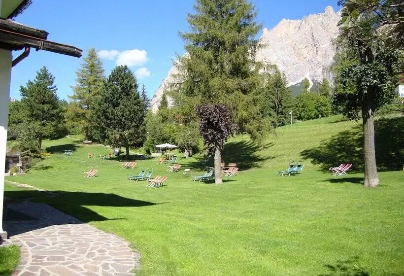 Fotos del hotel Menardi:  6