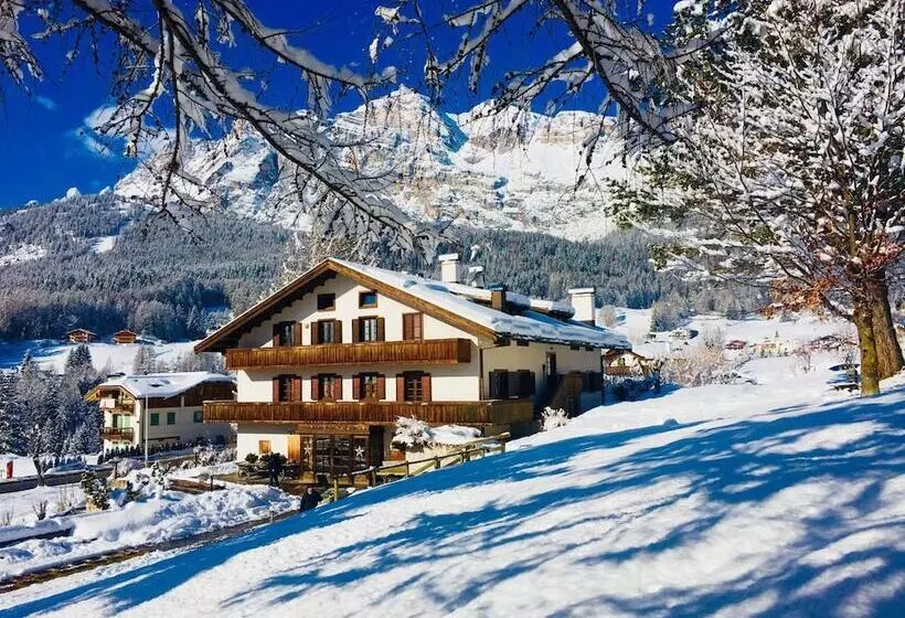 Fotos del hotel Menardi:  21