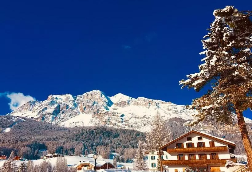 Fotos del hotel Menardi:  16