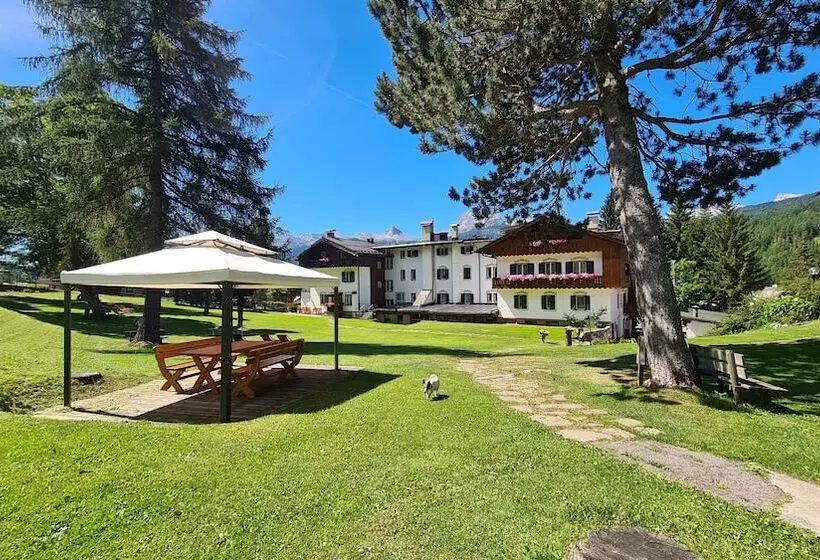 Fotos del hotel Menardi:  23