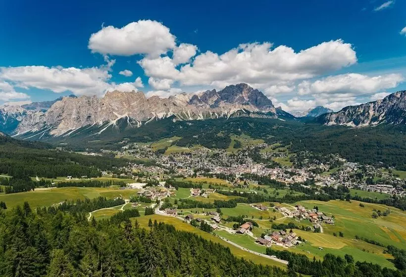 Fotos del hotel Menardi:  12