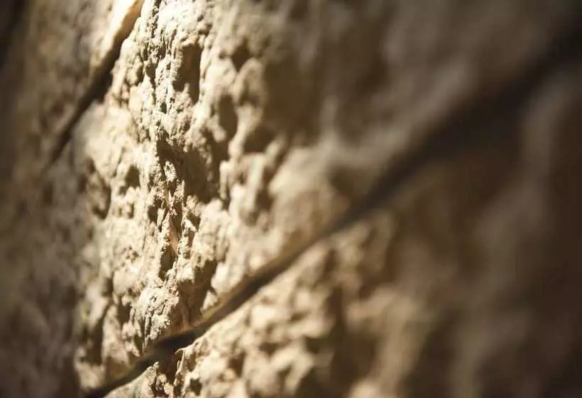 Fotos del hotel Montresor Hotel Palace:  6